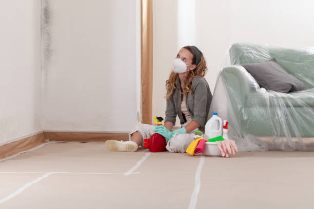 Reliable Crawl Space Mold Removal contractor in Ocean Grove, NJ by WQB Mold Removal